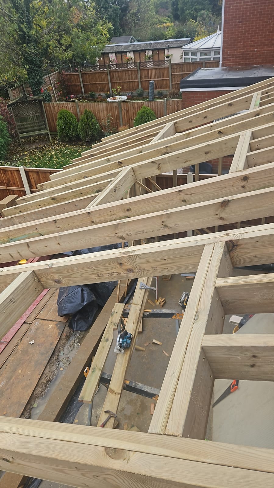 Treated timber rafters and trimmed roof window openings on a lean-to extension roof, seen from above